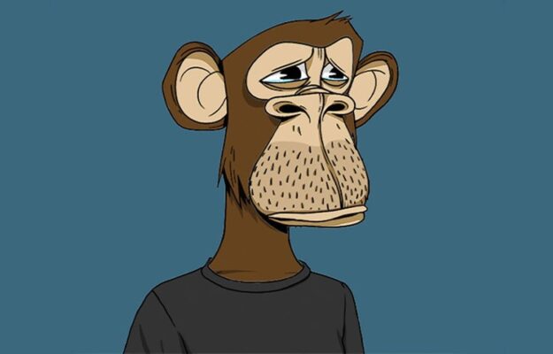 Crypto Monkey: The Rise of Digital Primates in the Blockchain Jungle