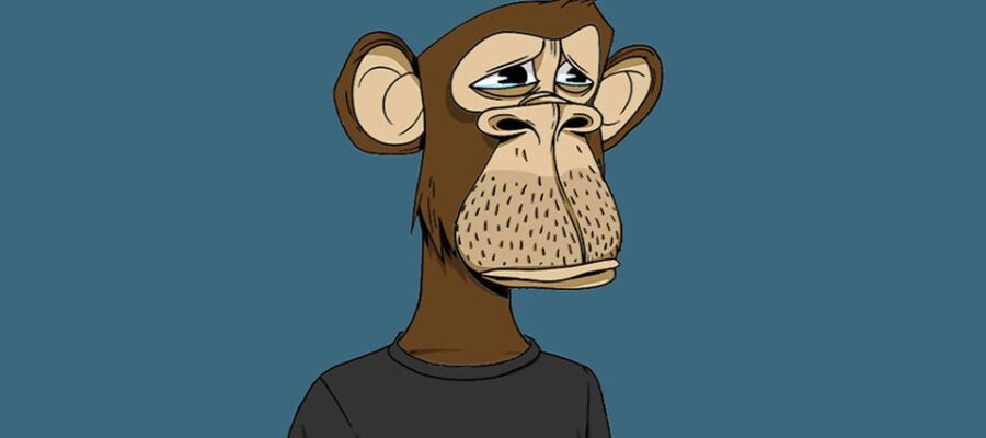 Crypto Monkey: The Rise of Digital Primates in the Blockchain Jungle